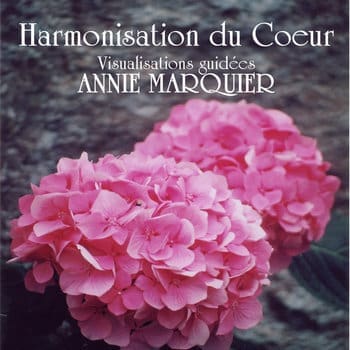 Visualisations guidées par Annie Marquier
